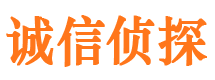 武隆外遇出轨调查取证